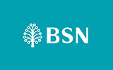 BSN Bank